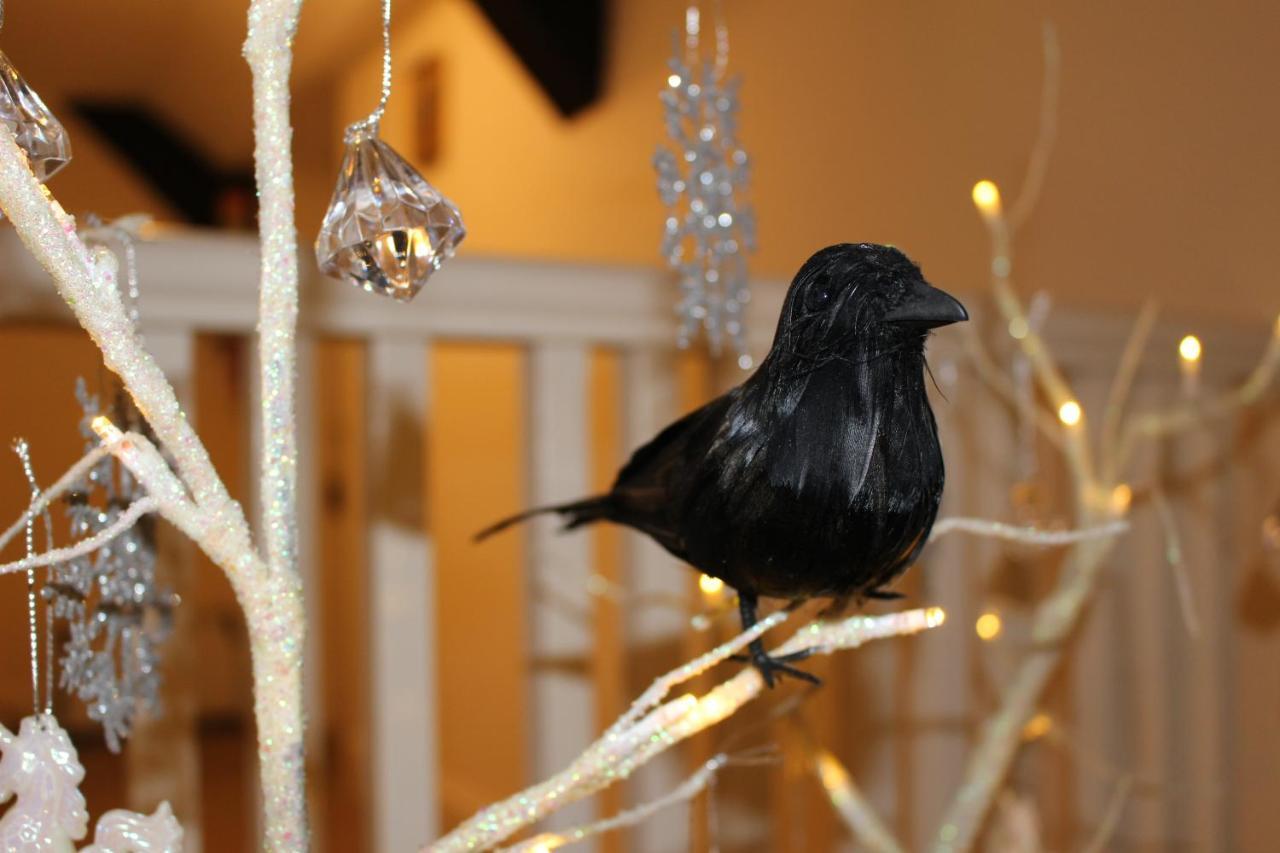 Raven Haven Glastonbury Luaran gambar